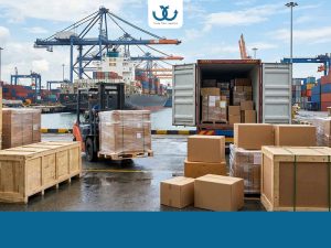 official-export-what-should-you-consider-when-doing-it-for-the-first-time