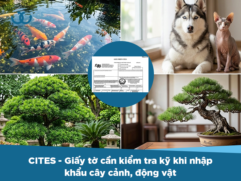 Nhập khẩu cây cảnh, động vật