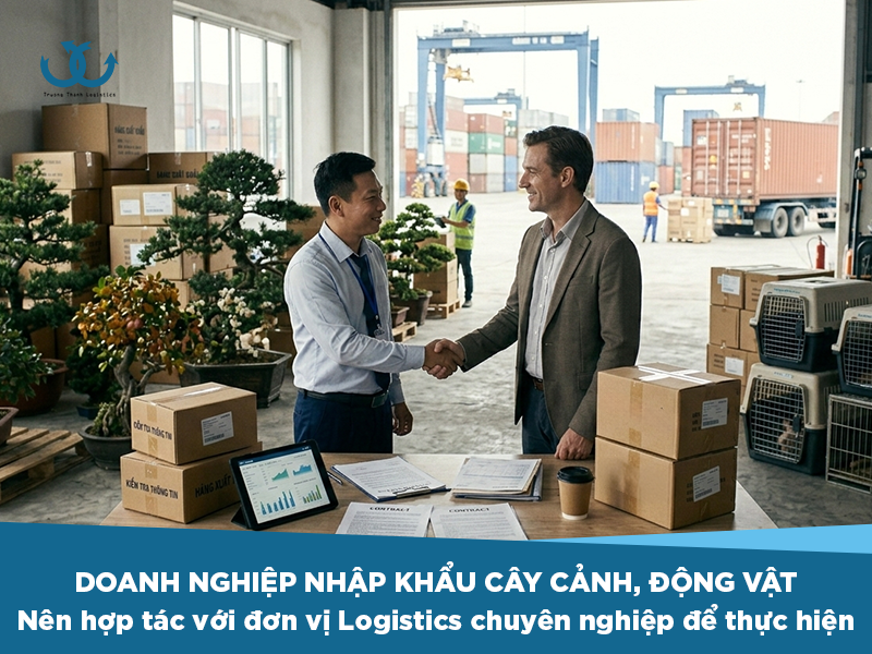 Nhập khẩu cây cảnh, động vật