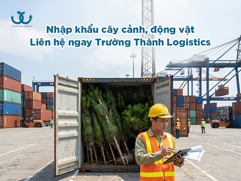 Nhập khẩu cây cảnh, động vật