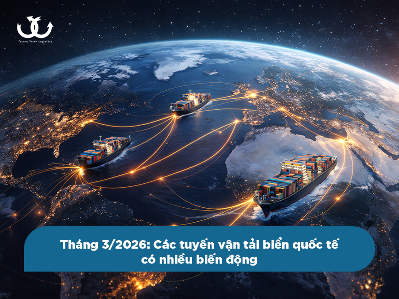 Những lưu ý quan trọng khi xuất khẩu hàng hoá bằng đường biển tháng 3/2026
