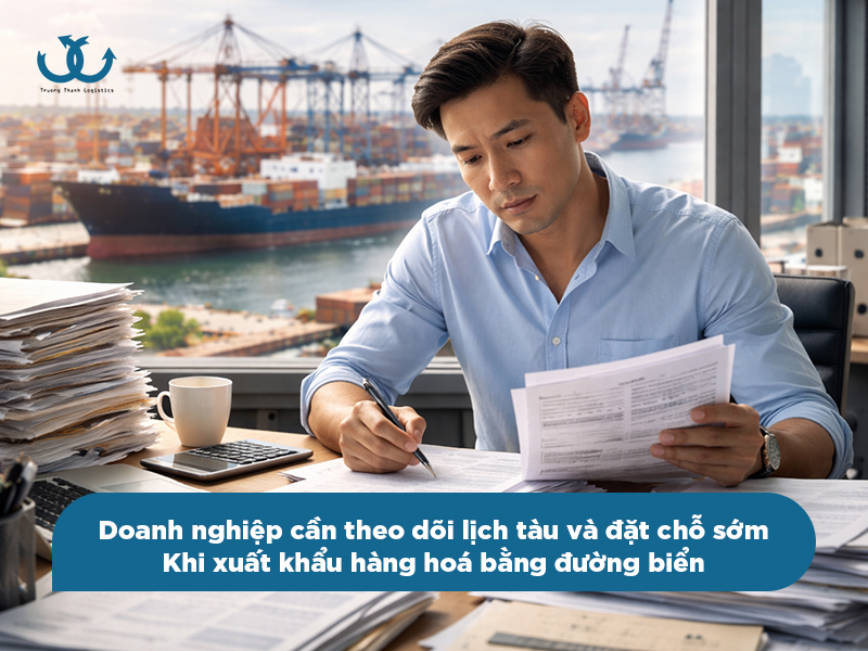 Những lưu ý quan trọng khi xuất khẩu hàng hoá bằng đường biển tháng 3/2026