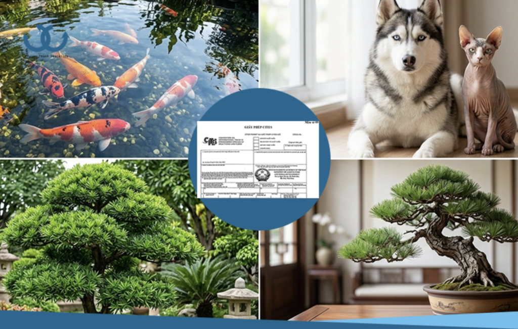 Importing ornamental plants and animals: Contact Truong Thanh Logistics now
