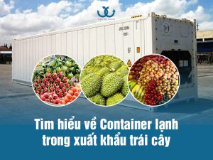 Tìm hiểu về Container lạnh trong xuất khẩu trái cây tươi