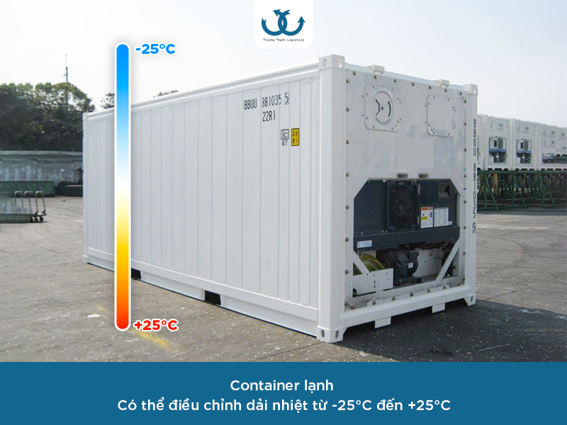 Tìm hiểu về Container lạnh trong xuất khẩu trái cây tươi

