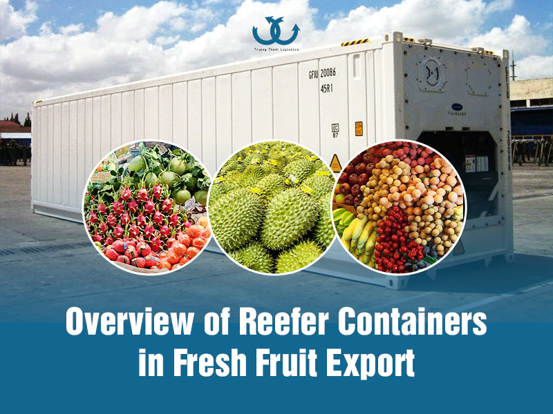 Pr theo chủ đề: Quy định về nhãn mác khi xuất khẩu thực phẩm đóng lon mới nhất