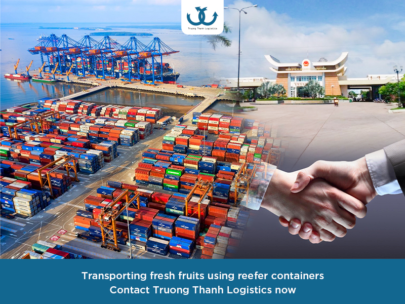 Pr theo chủ đề: Quy định về nhãn mác khi xuất khẩu thực phẩm đóng lon mới nhất