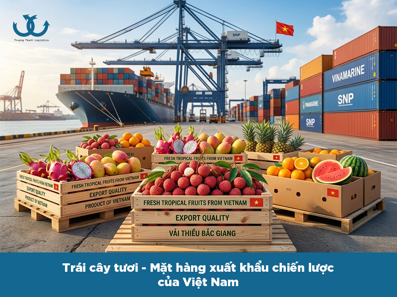 Xuất khẩu trái cây tươi