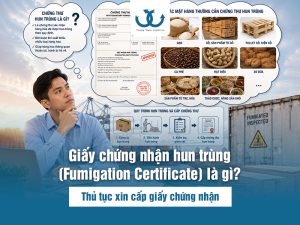 Giấy chứng nhận hun trùng