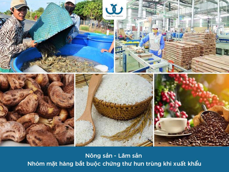 Giấy chứng nhận hun trùng