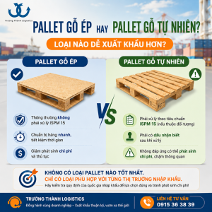 Pallet gỗ ép và pallet gỗ tự nhiên: Loại nào dễ xuất khẩu hơn?
