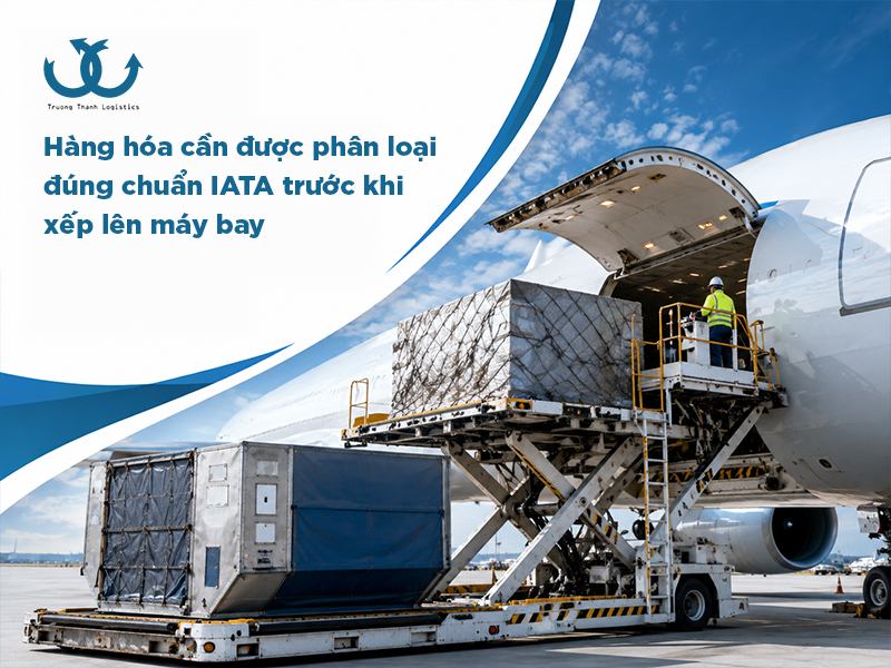 Hướng dẫn phân loại hàng hoá trong vận chuyển hàng không