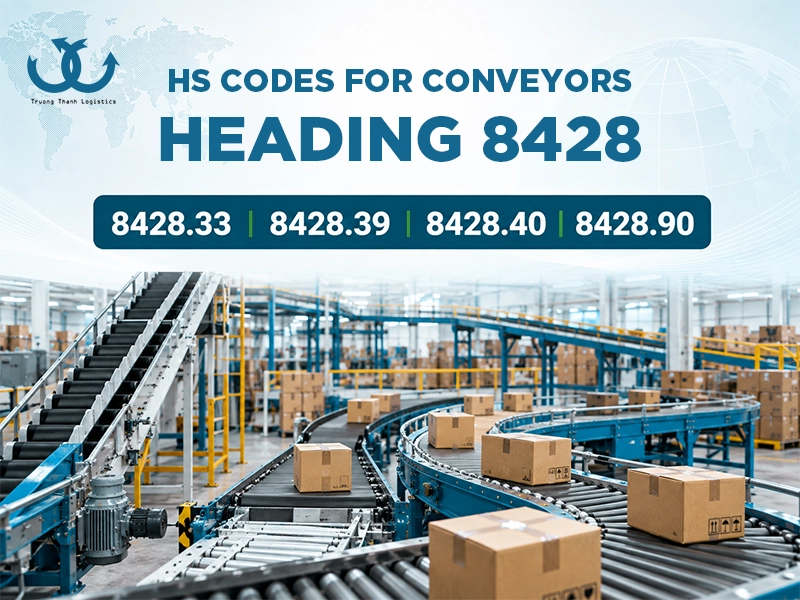 Conveyor import procedures