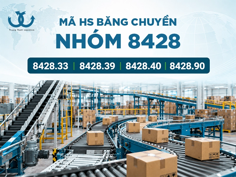 thủ tục nhập khẩu băng chuyền