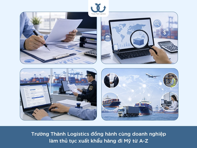 trường thành hỗ trợ thủ tục xuất khẩu đi mỹ