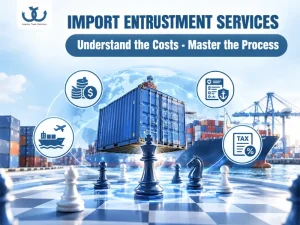 Import Entrustment Services: From Costs to Implementation Process