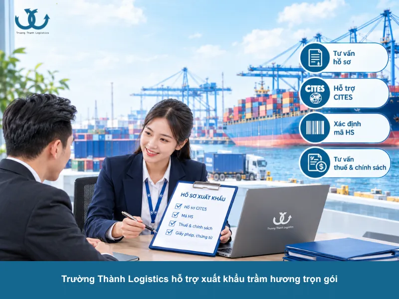trường thành logistics hỗ trợ làm thủ tục nhanh gọn