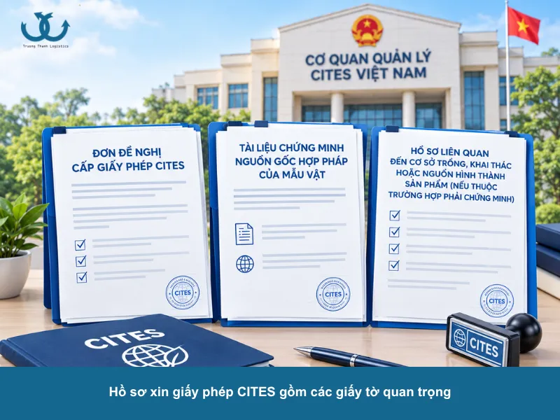 hồ sơ xin phép cites làm thủ tục xuất khẩu trầm hương
