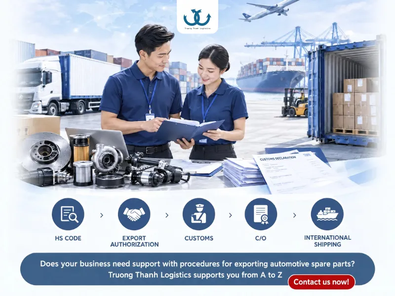 Truong Thanh Logistics assists with export procedures