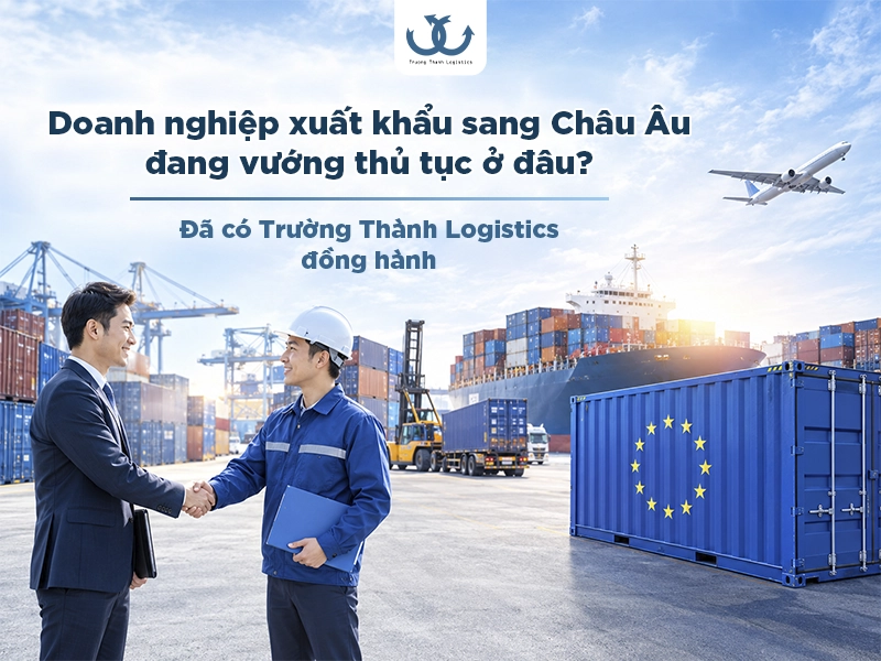 trường thành đồng hành xuất khẩu sang châu âu